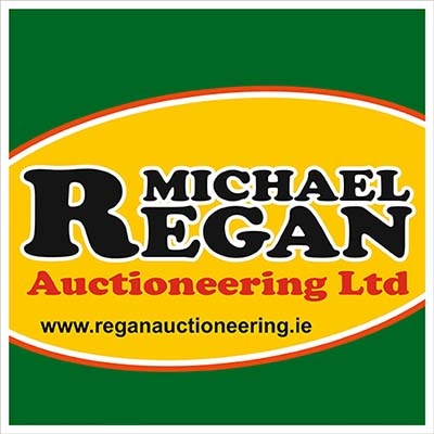 Office Space for Rent in Loughrea, Galway