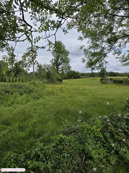 Development Land for Sale in Neale, Mayo