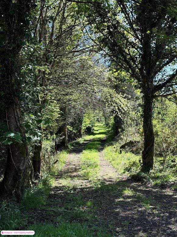 Agricultural Land for Sale in Monasteraden, Sligo