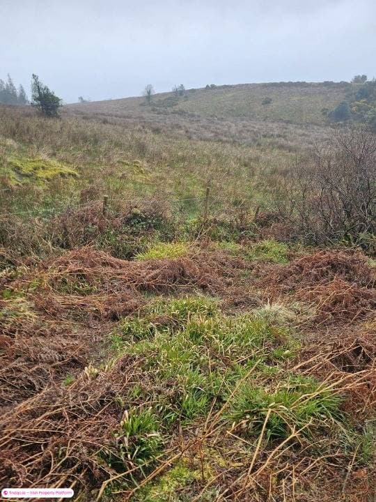 Site for Sale in Drumkeeran, Leitrim
