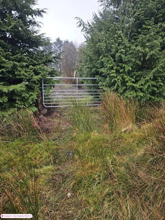 Site for Sale in Drumkeeran, Leitrim