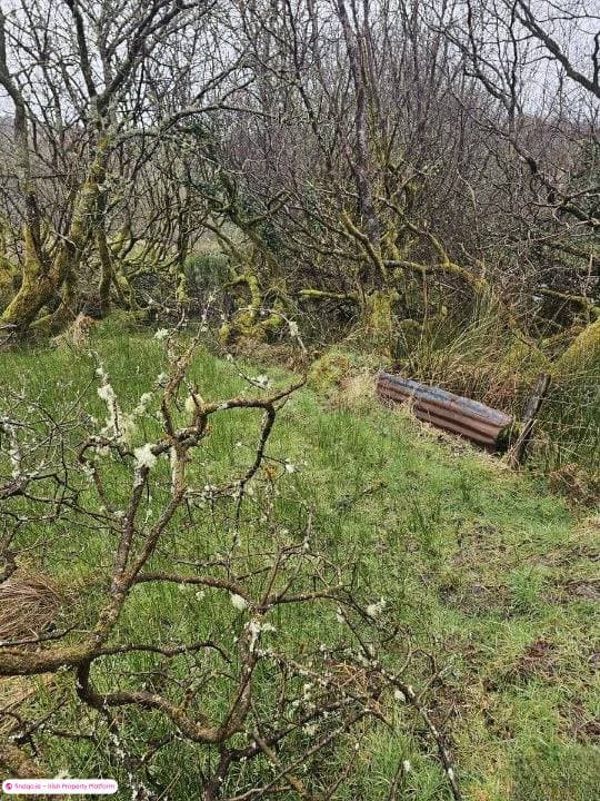 Site for Sale in Drumkeeran, Leitrim