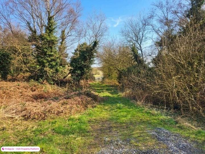 Commercial Site for Sale in Edenderry, Offaly