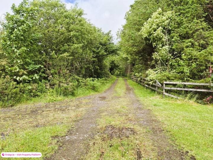 Agricultural Land for Sale in Bellaghy, Sligo