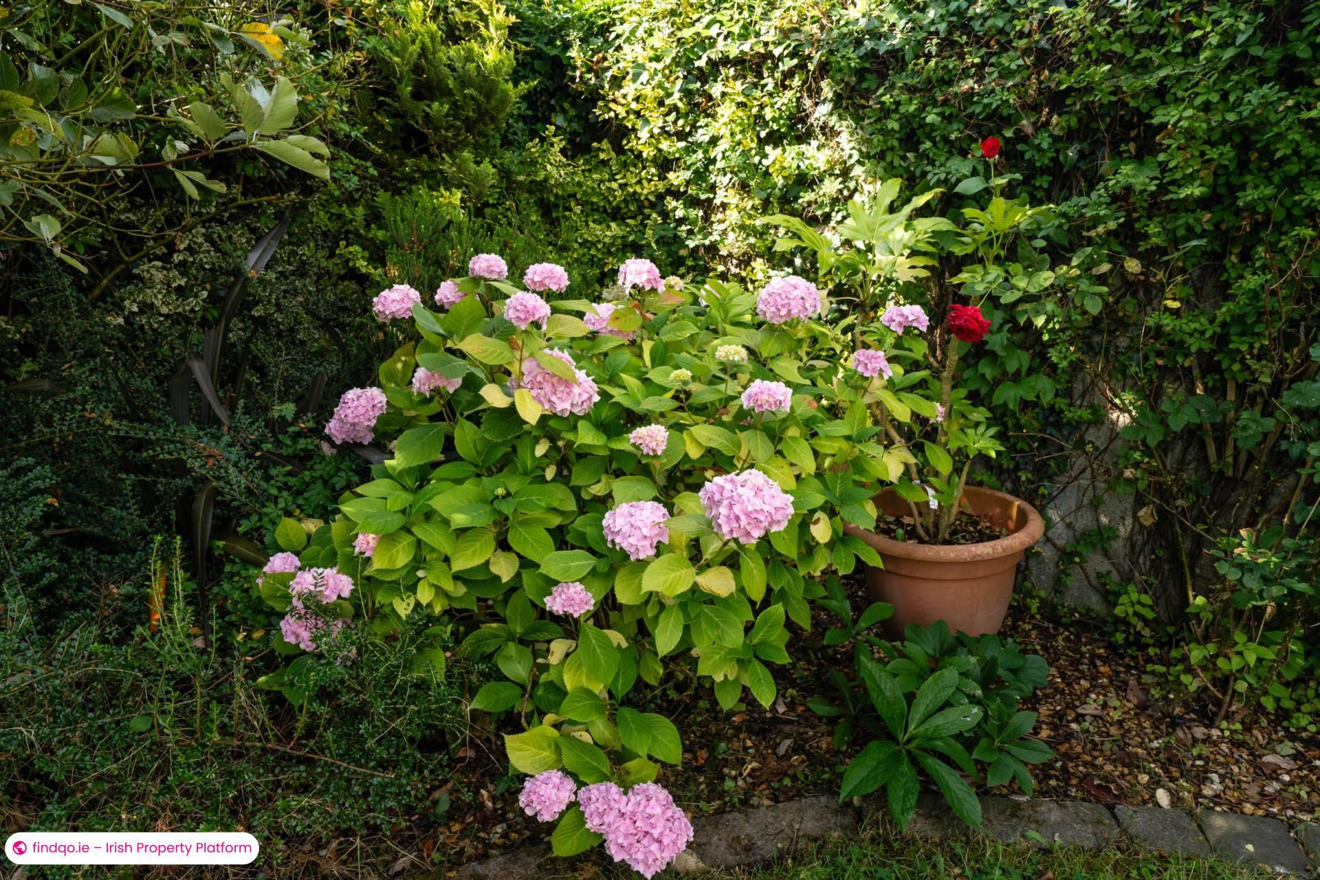 Detached house for Sale in Ballivor, Meath
