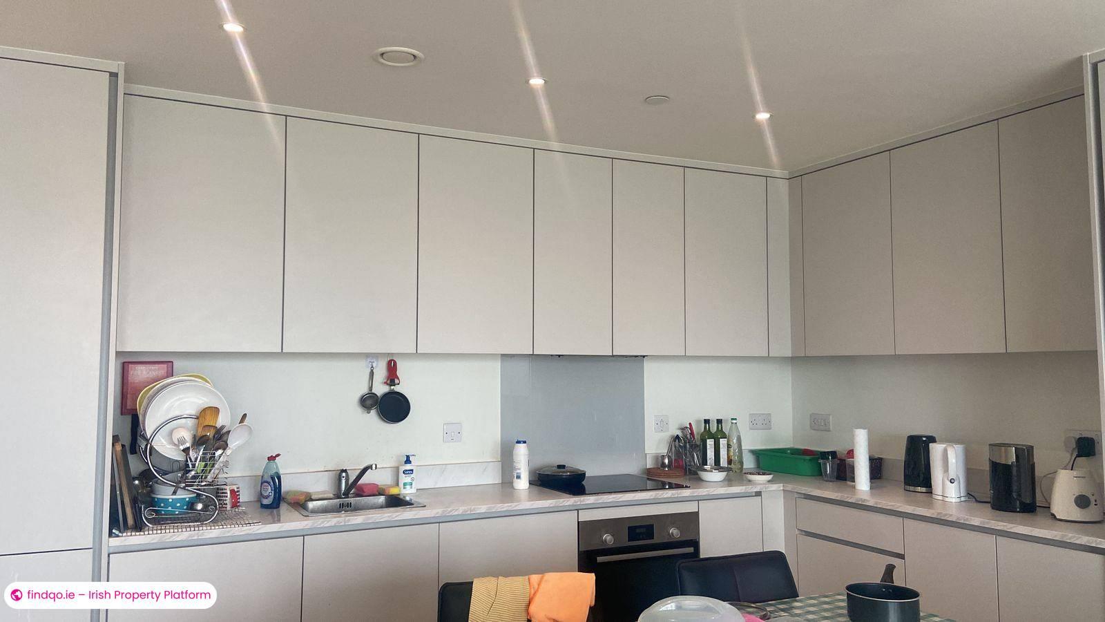 1 Bedroom Apartment for Sharing in Cherrywood, Dublin 18