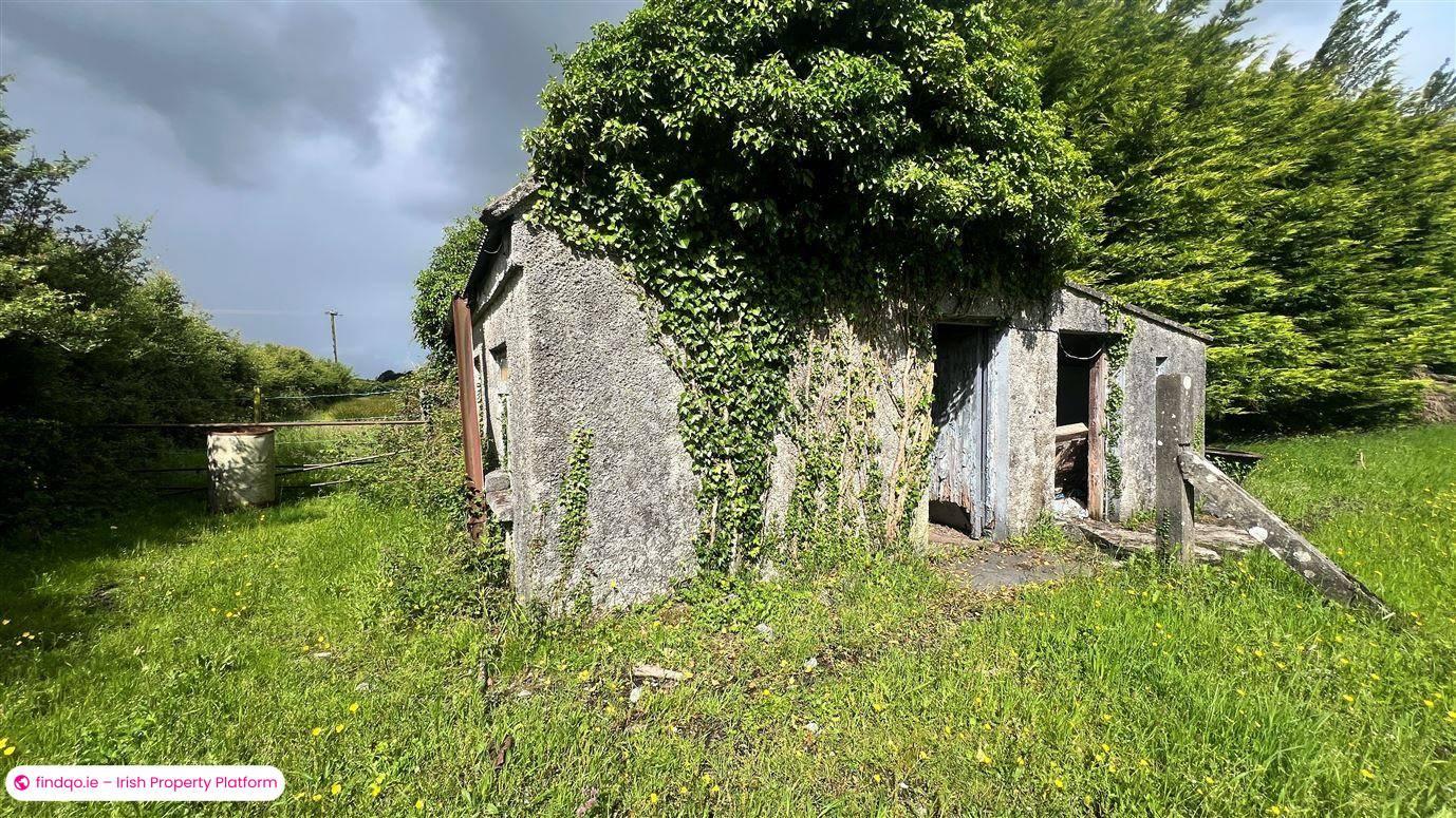 Detached house for Sale in Ballinasloe, Galway