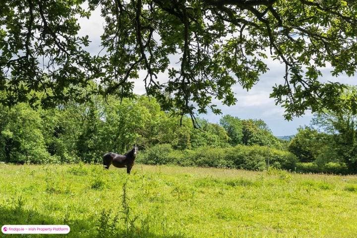 Detached house for Sale in Midleton, Cork