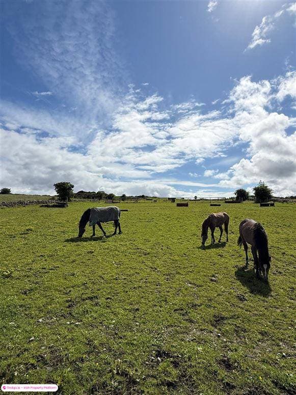 Agricultural Land for Sale in Ballaghaderreen, Roscommon