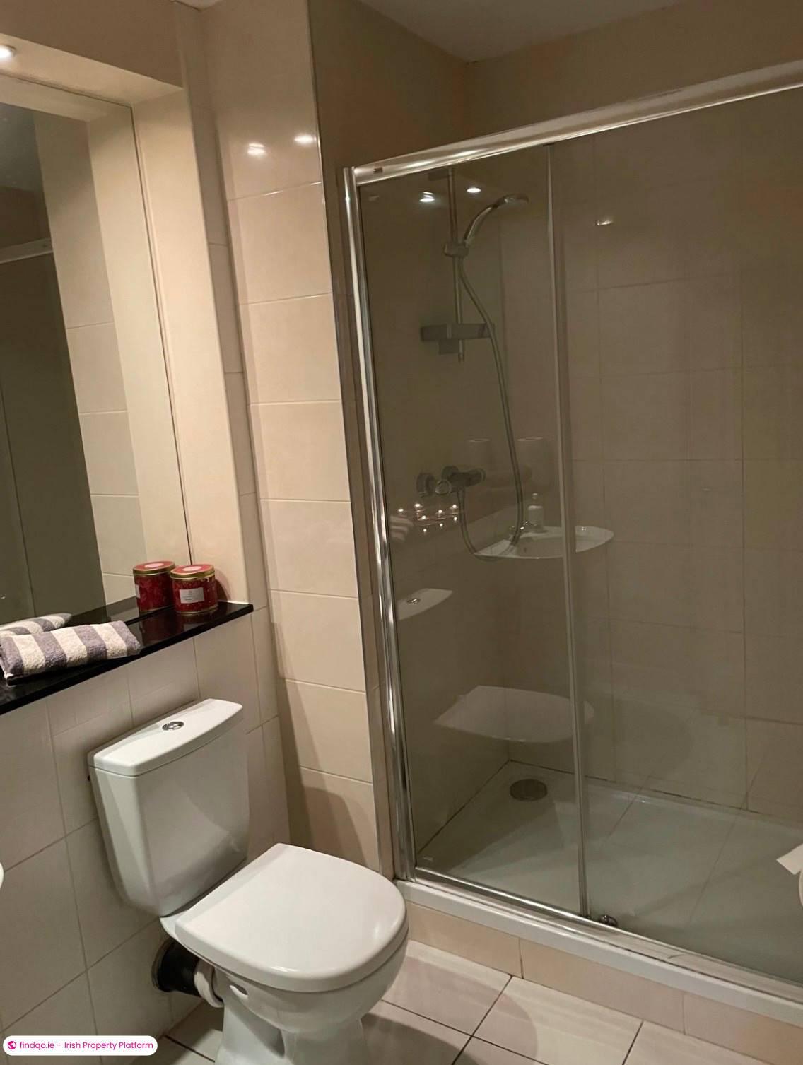 1 Bedroom Short Term for Rent in Dublin 11