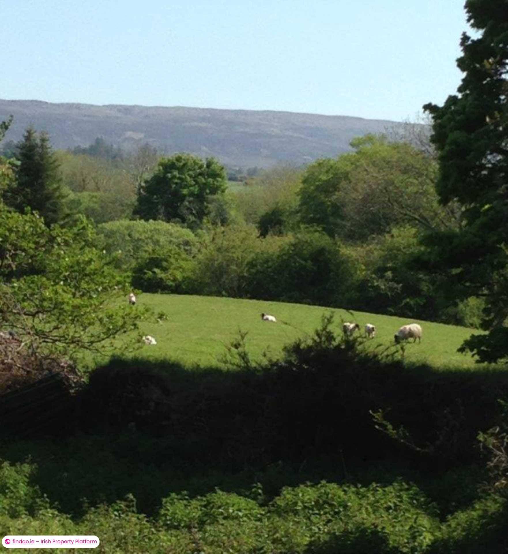 Commercial Site for Sale in Ballina, Mayo