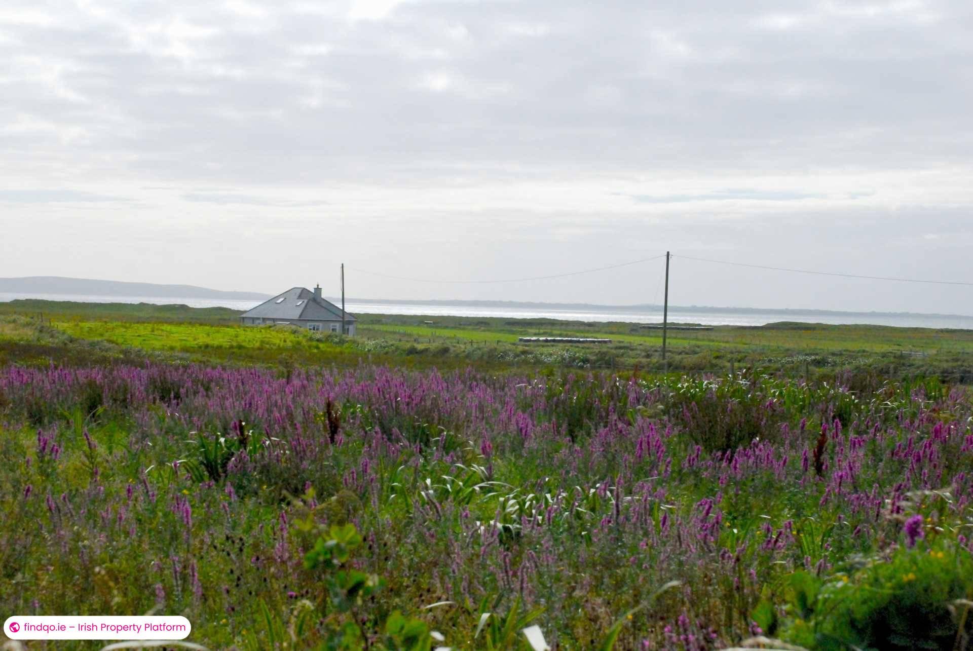 Development Land for Sale in Ballina, Mayo