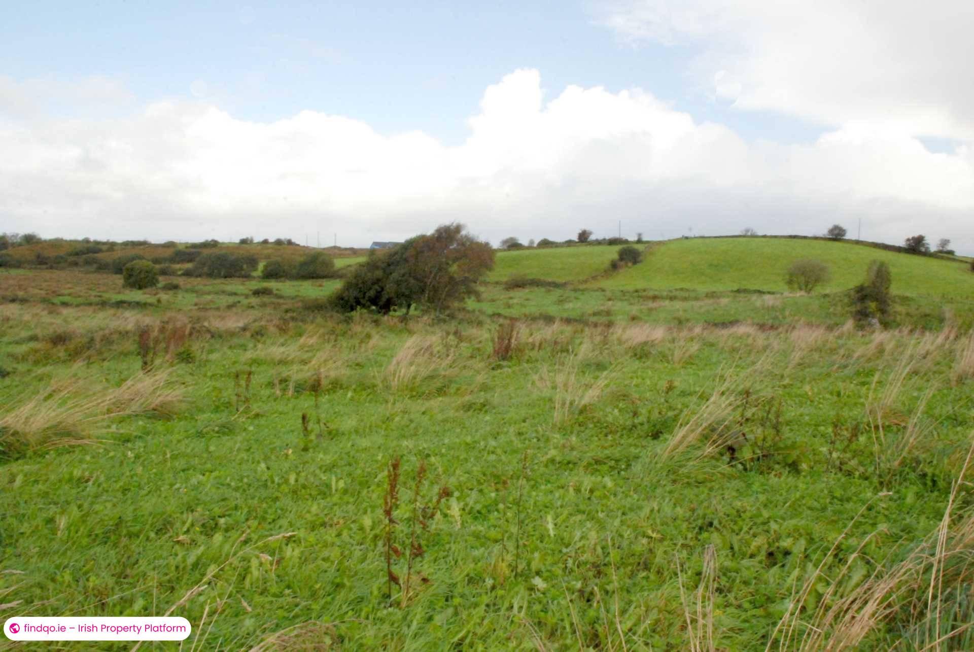 Agricultural Land for Sale in Swinford, Mayo