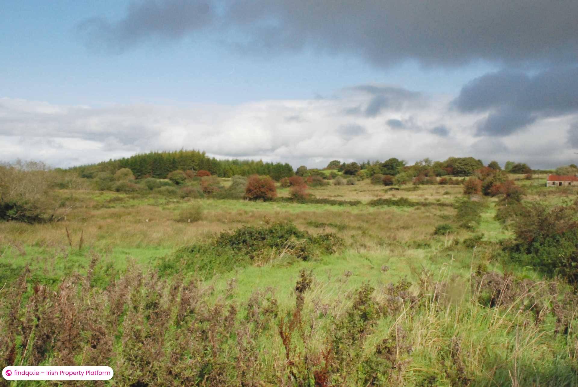 Agricultural Land for Sale in Swinford, Mayo
