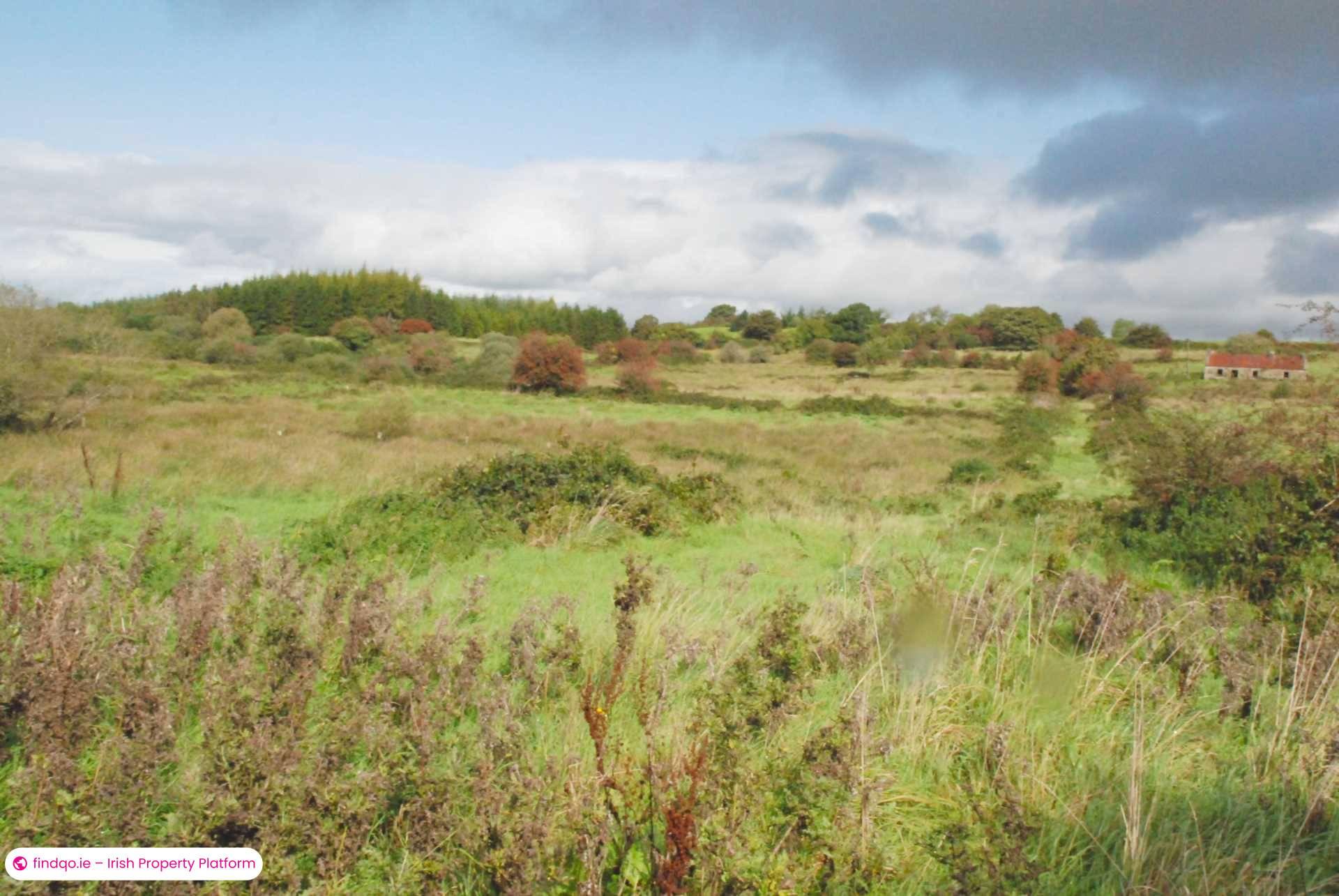 Agricultural Land for Sale in Swinford, Mayo