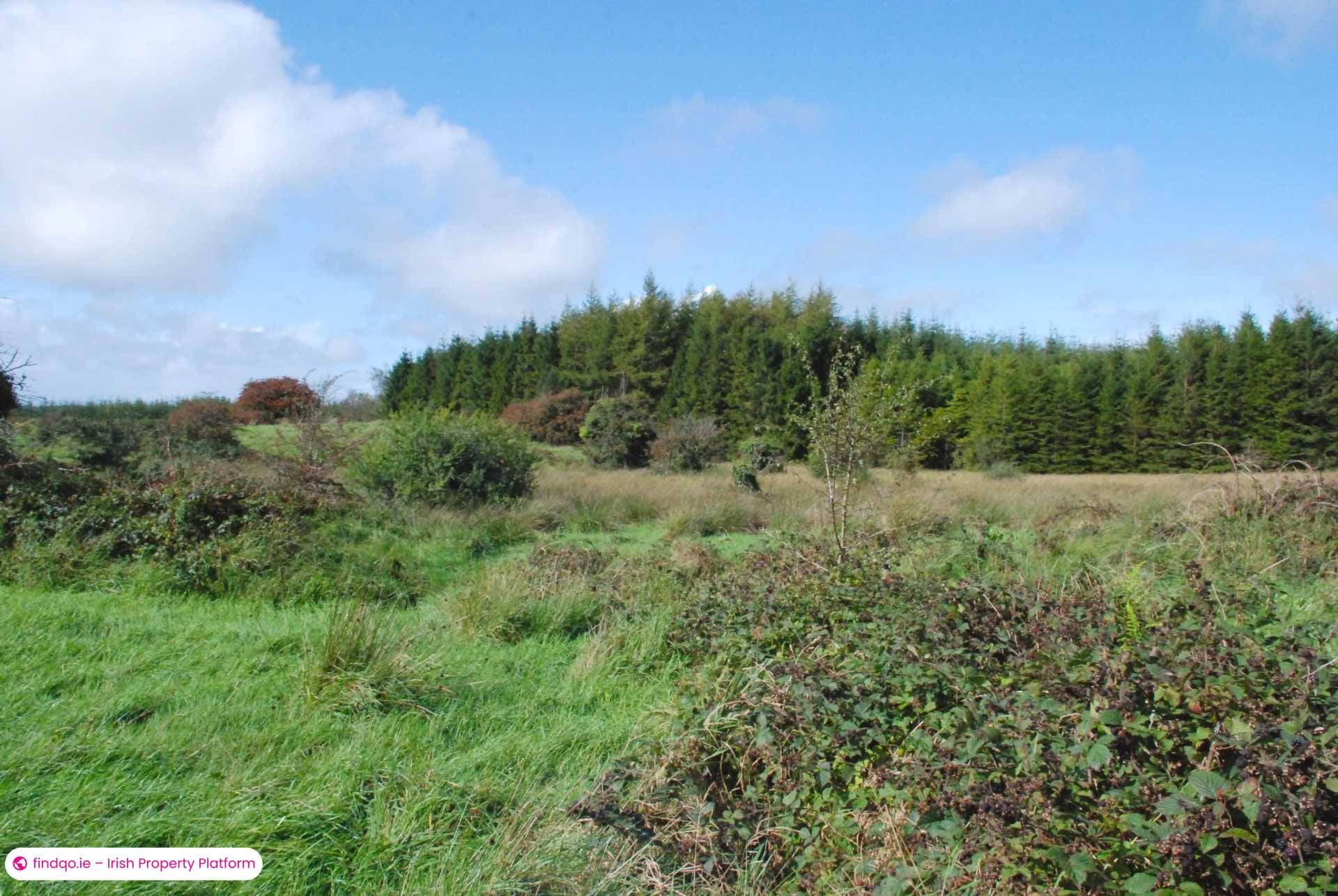 Agricultural Land for Sale in Swinford, Mayo