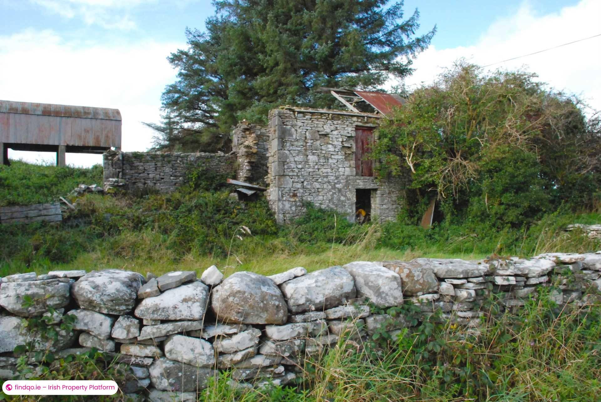 Agricultural Land for Sale in Swinford, Mayo