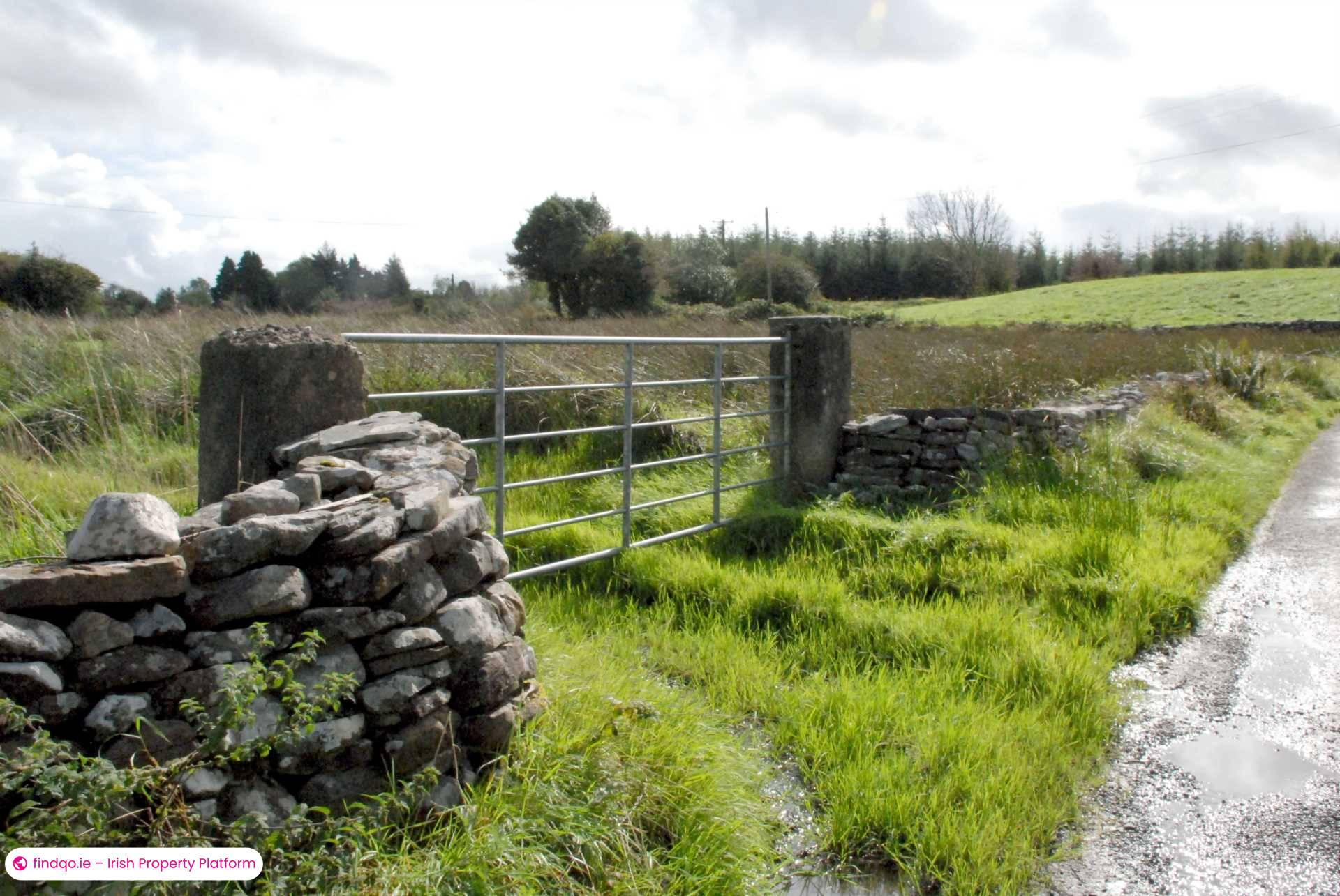 Agricultural Land for Sale in Swinford, Mayo