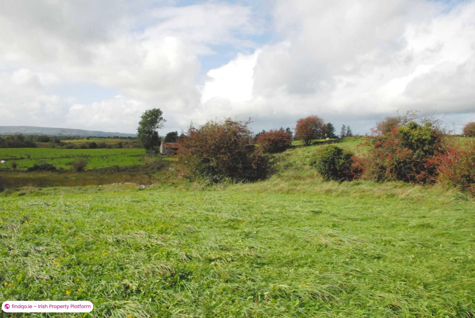 Agricultural Land for Sale in Swinford, Mayo