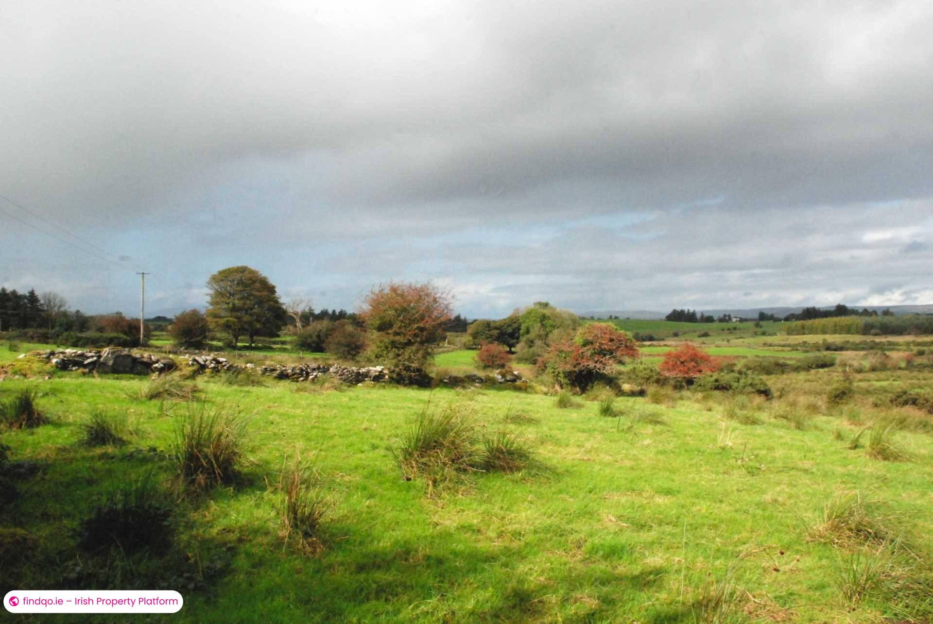 Agricultural Land for Sale in Swinford, Mayo