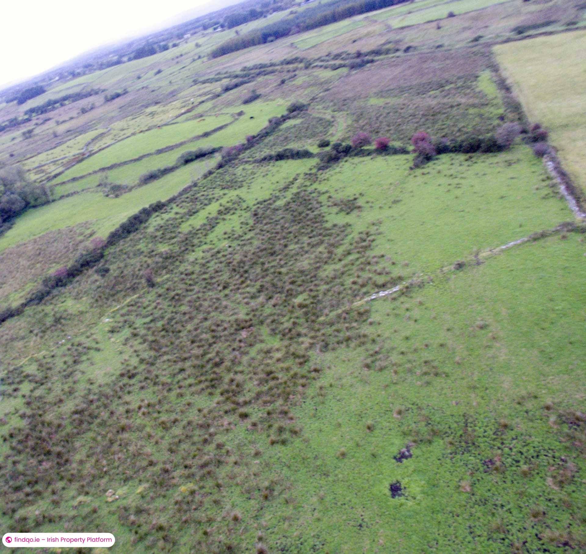 Agricultural Land for Sale in Swinford, Mayo