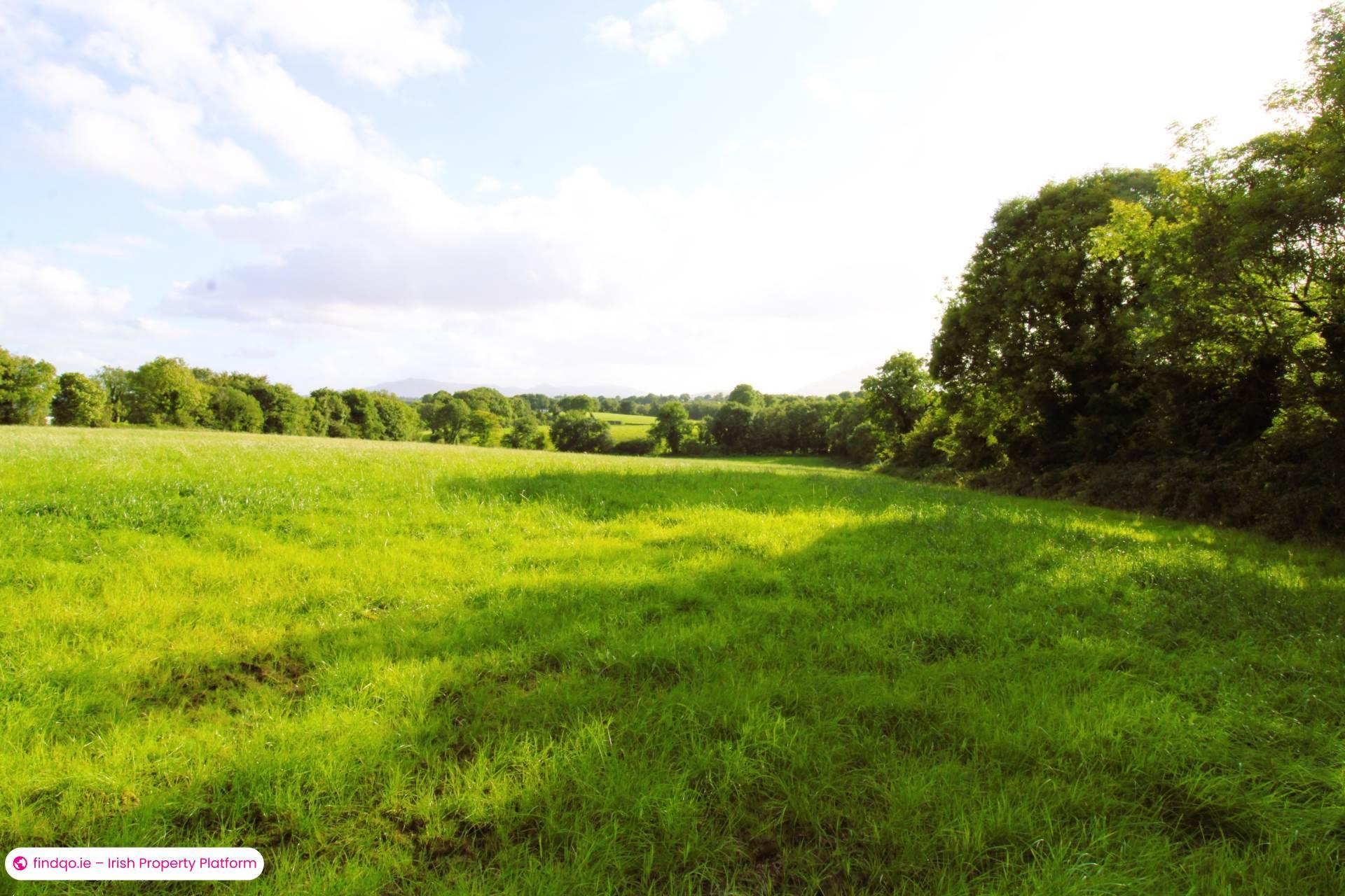 Agricultural Land for Sale in Ballina, Mayo