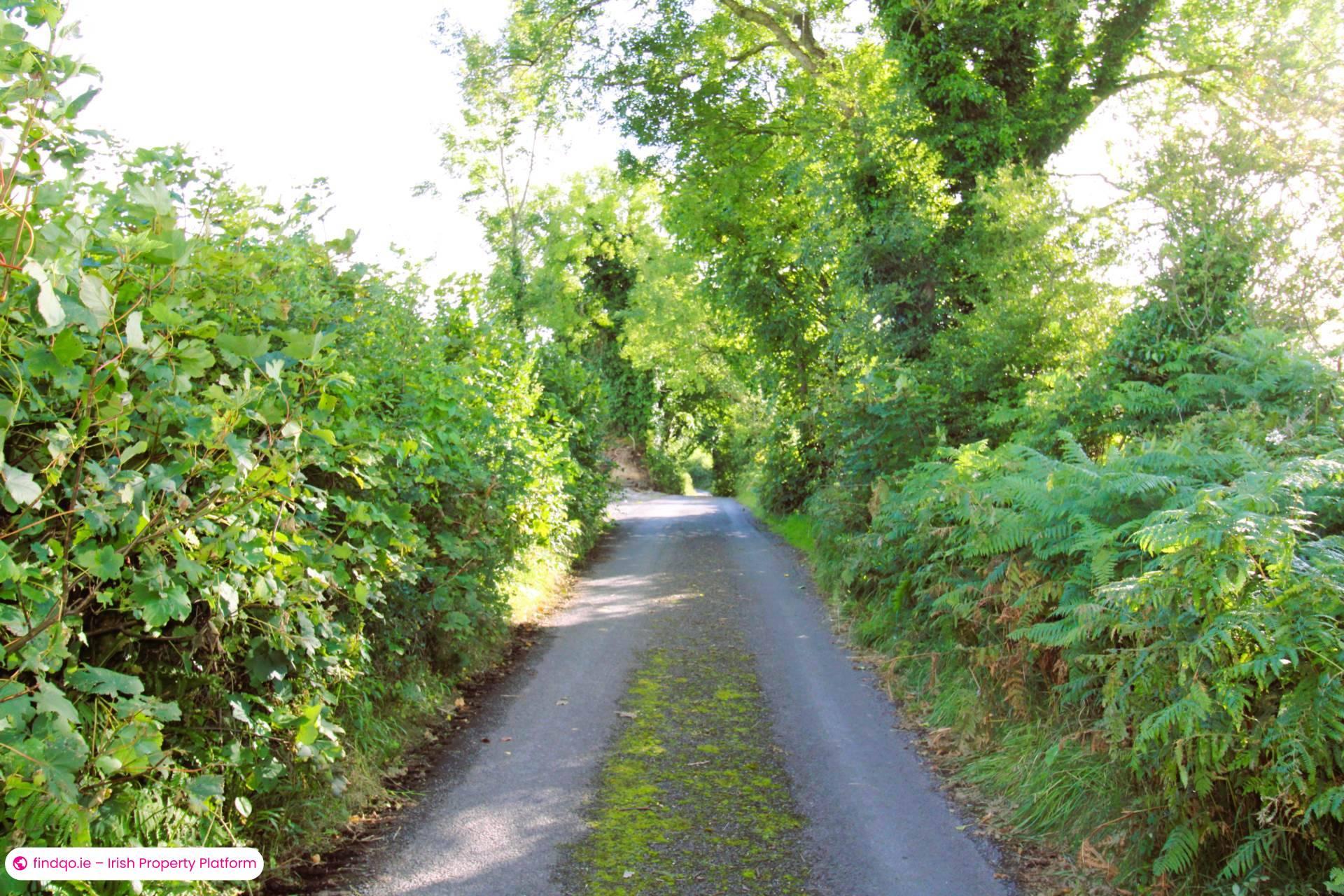 Agricultural Land for Sale in Ballina, Mayo