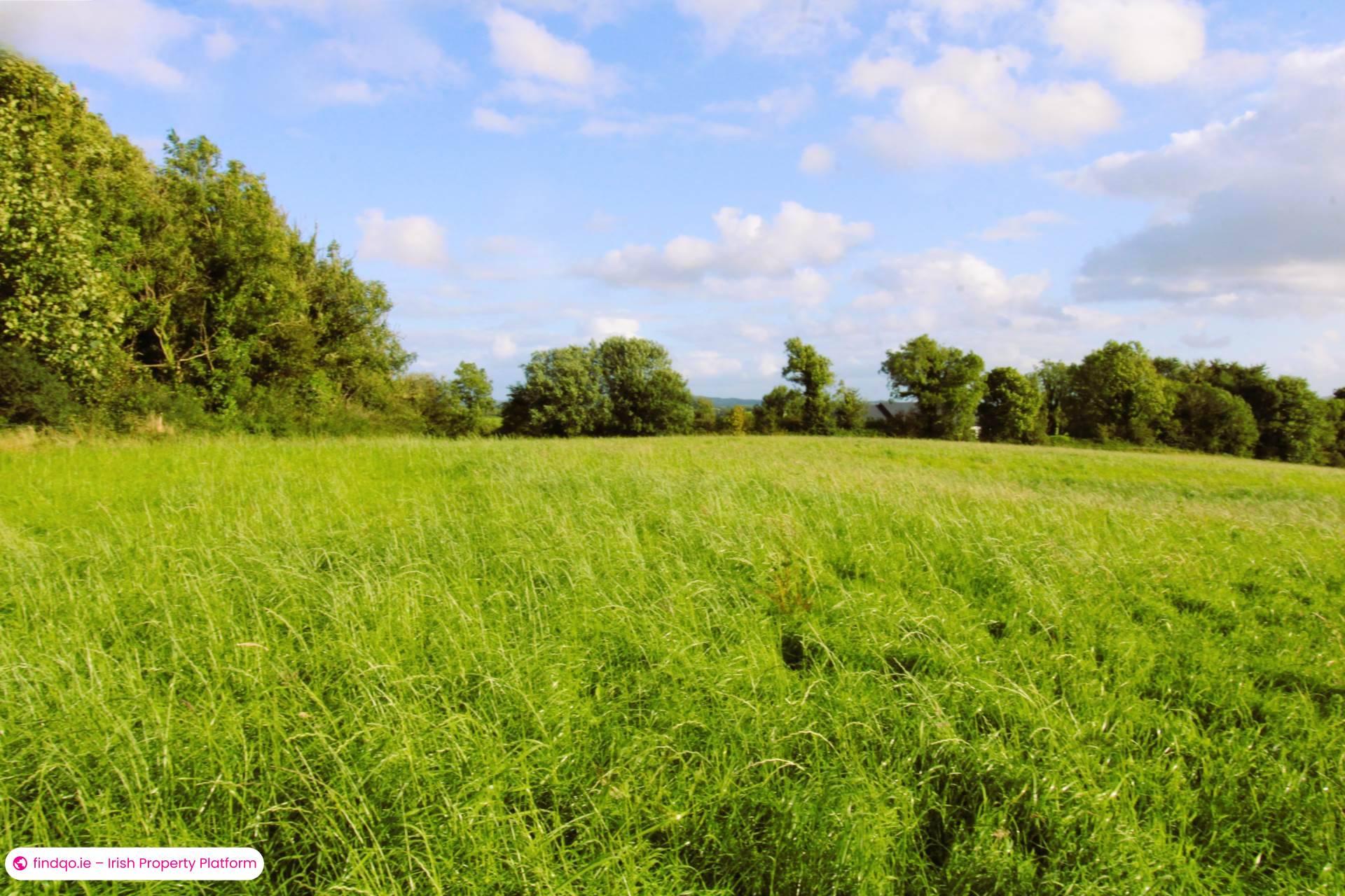 Agricultural Land for Sale in Ballina, Mayo