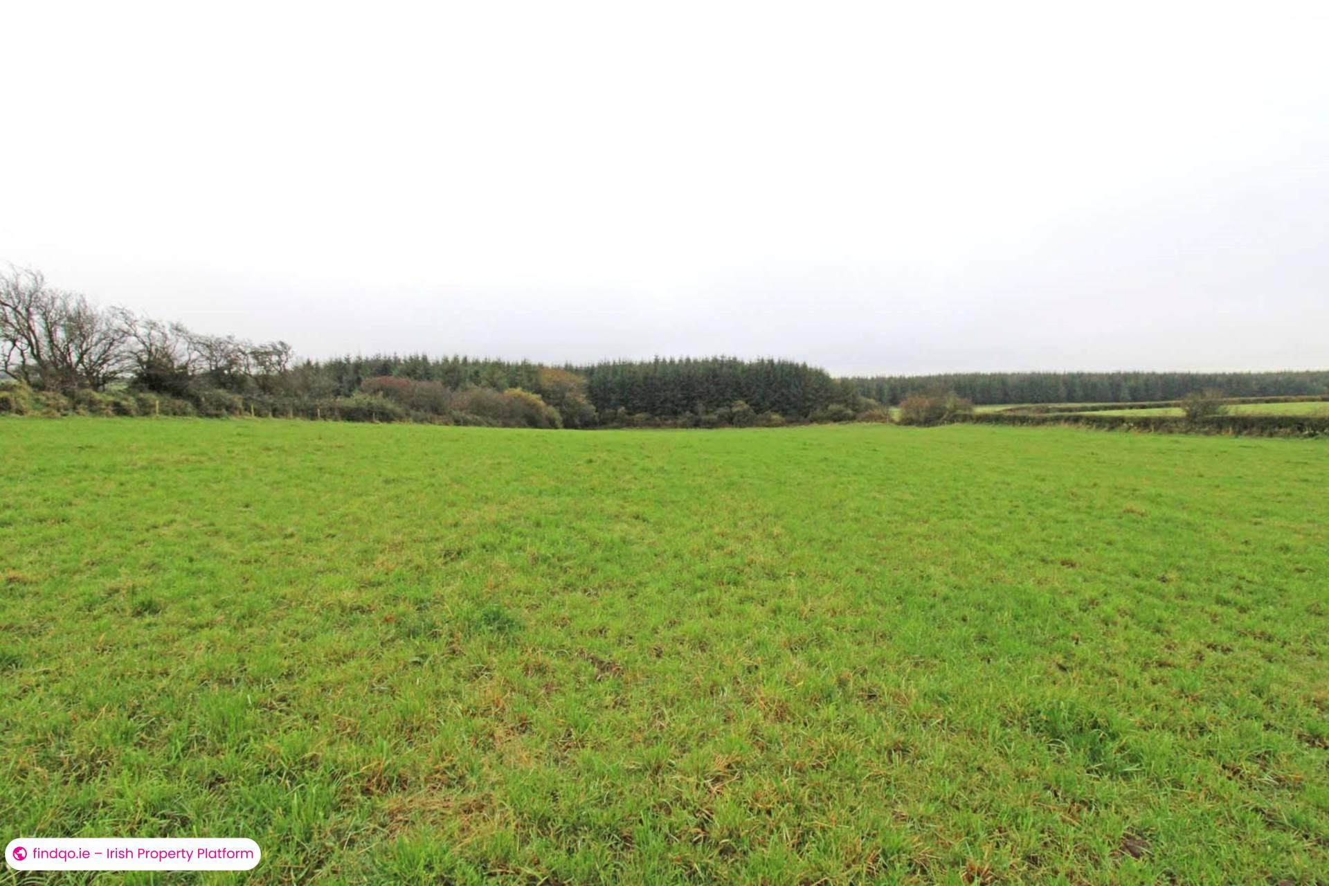 Agricultural Land for Sale in Killala, Mayo