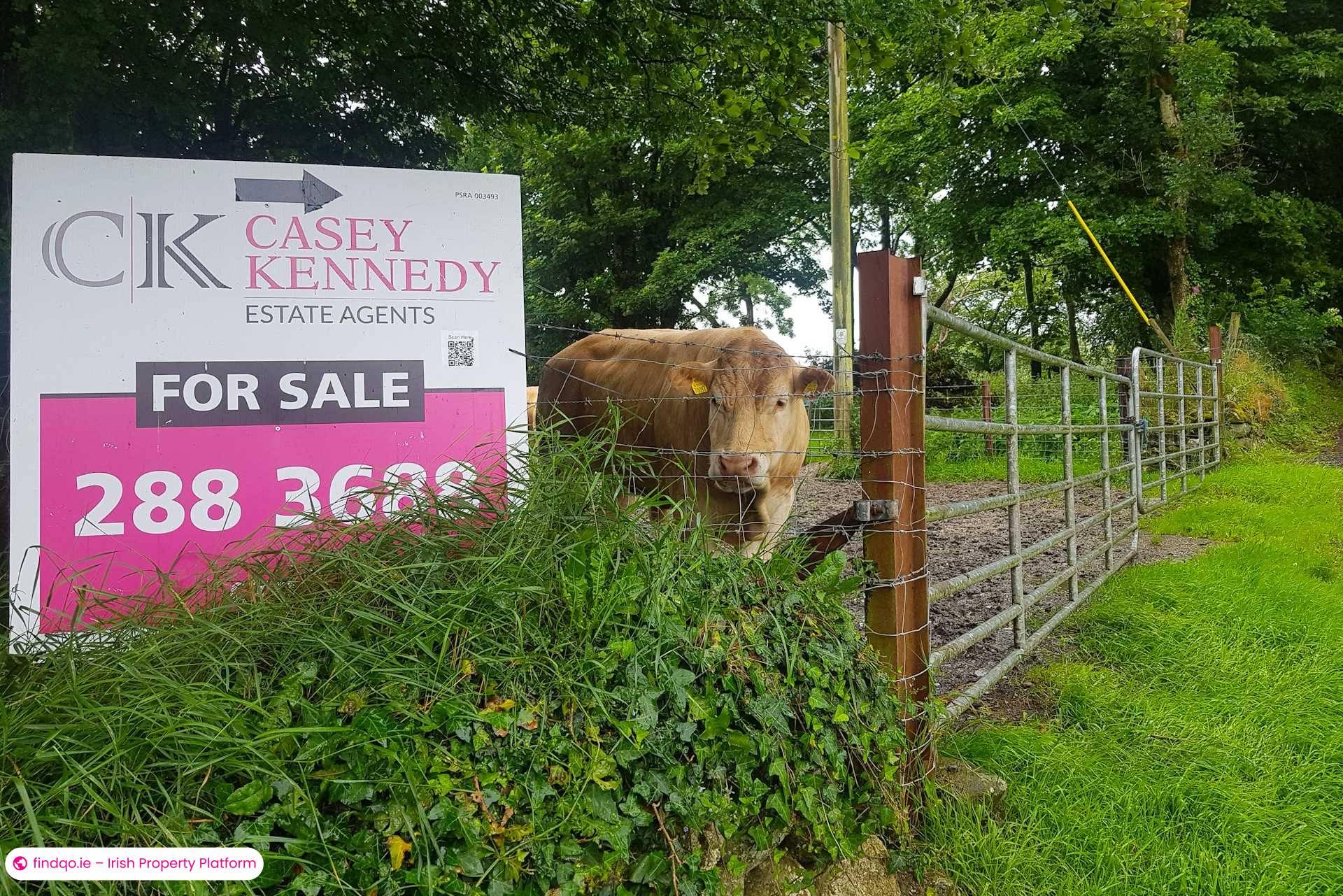 Bungalow for Sale in Rathdangan, Wicklow