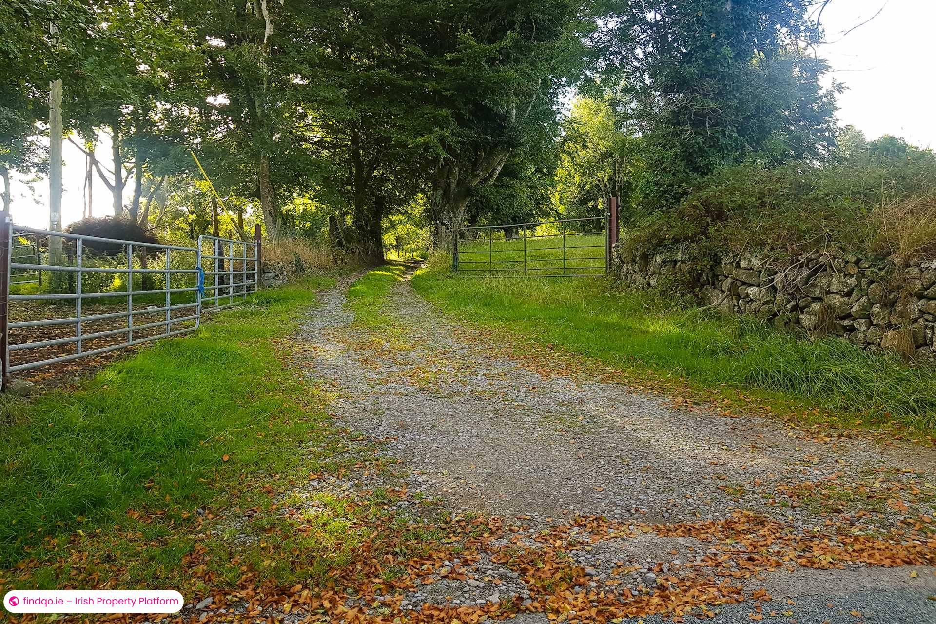 Bungalow for Sale in Rathdangan, Wicklow