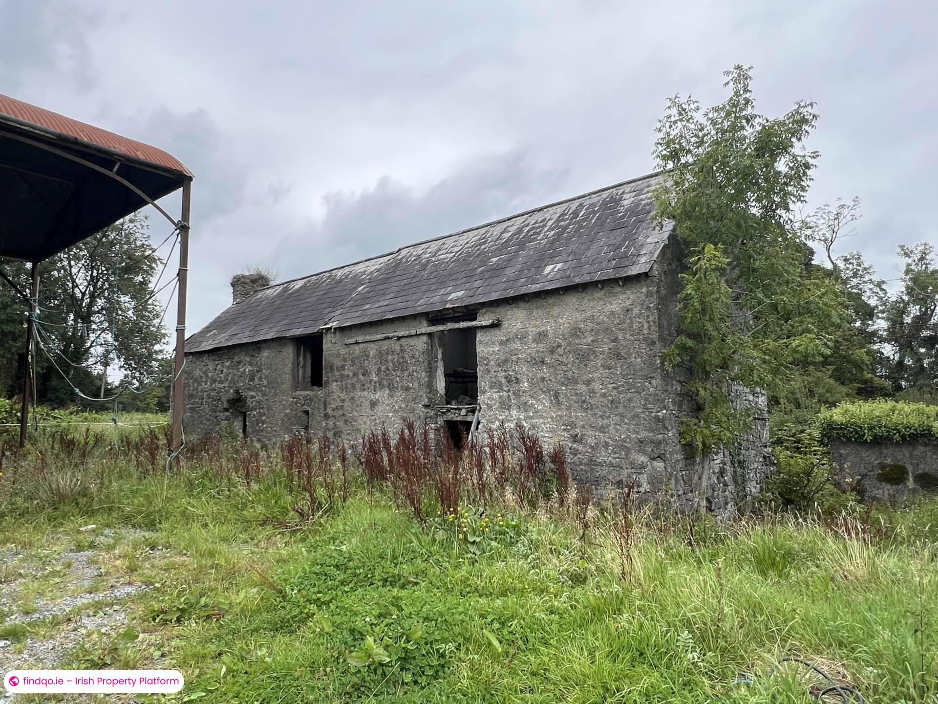 Agricultural Land for Sale in Ballinasloe, Galway