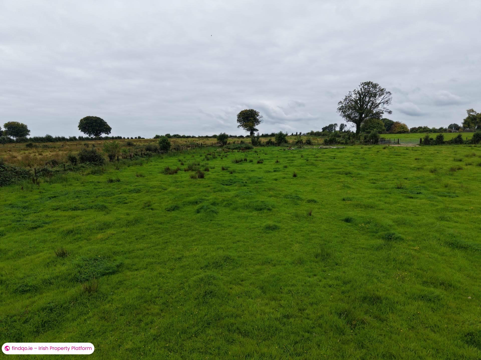 Agricultural Land for Sale in Ballinasloe, Galway