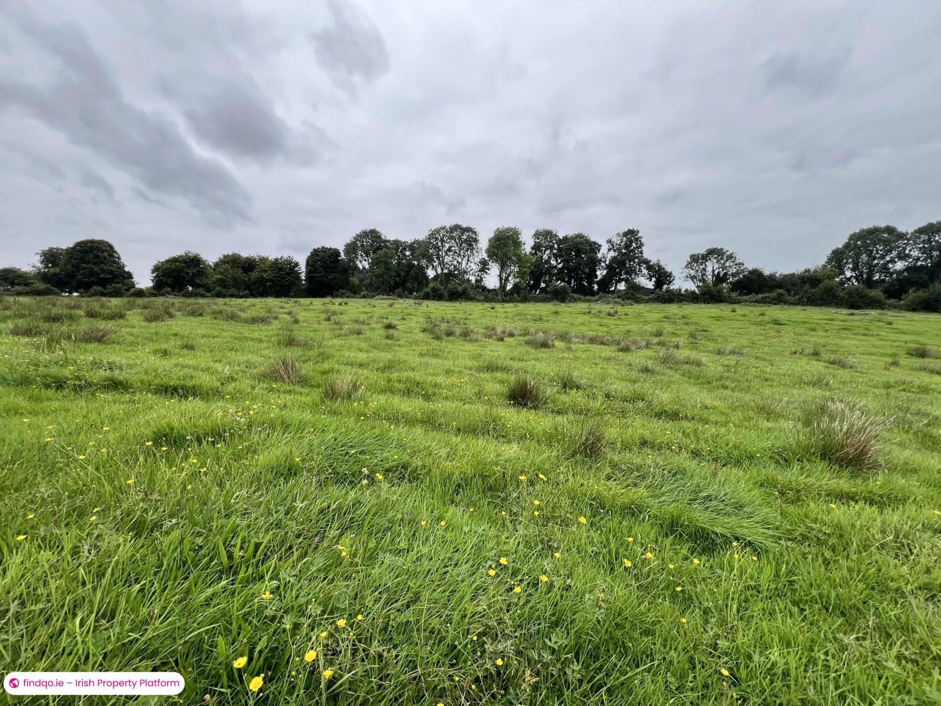 Agricultural Land for Sale in Ballinasloe, Galway