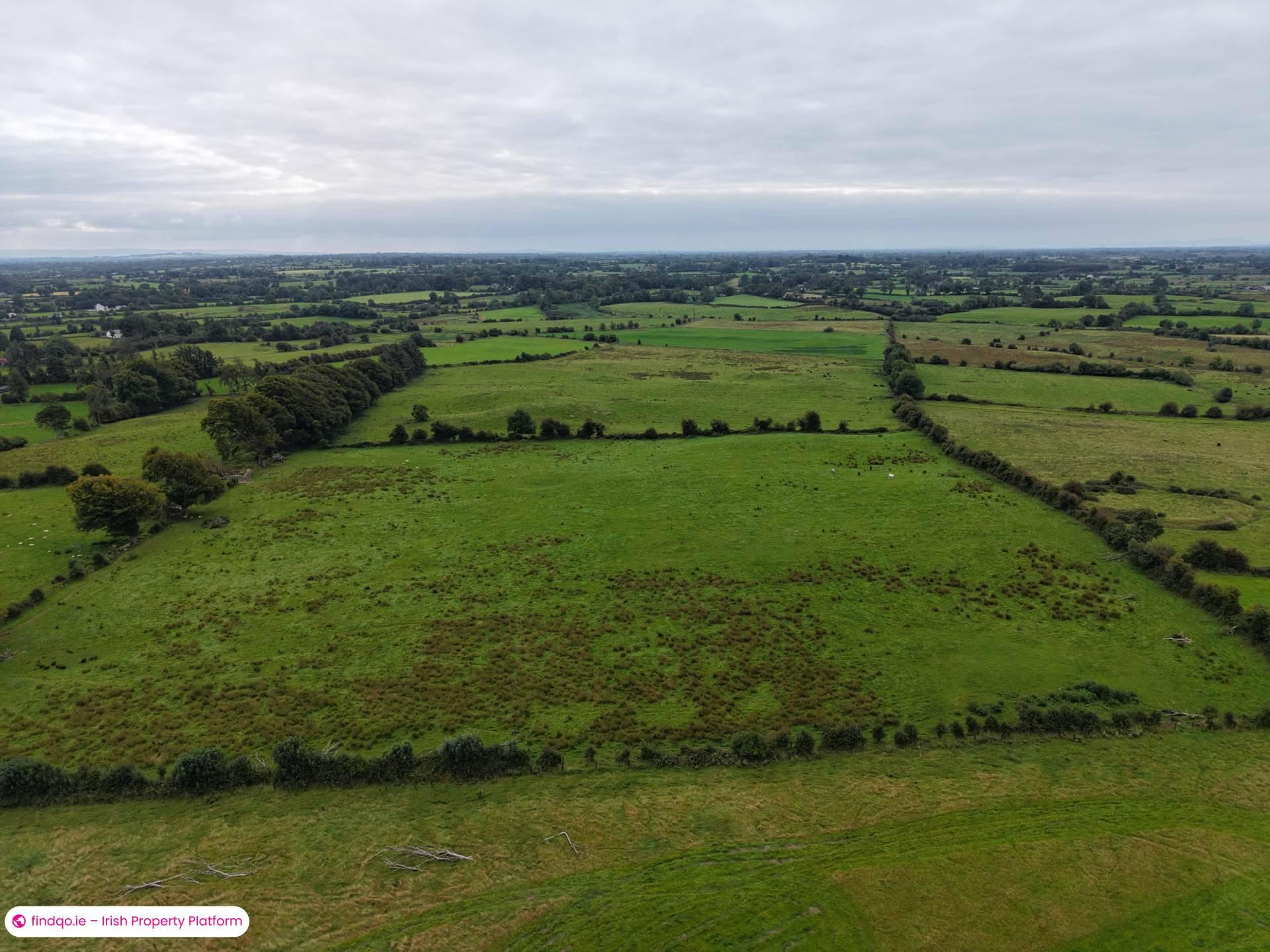 Agricultural Land for Sale in Ballinasloe, Galway
