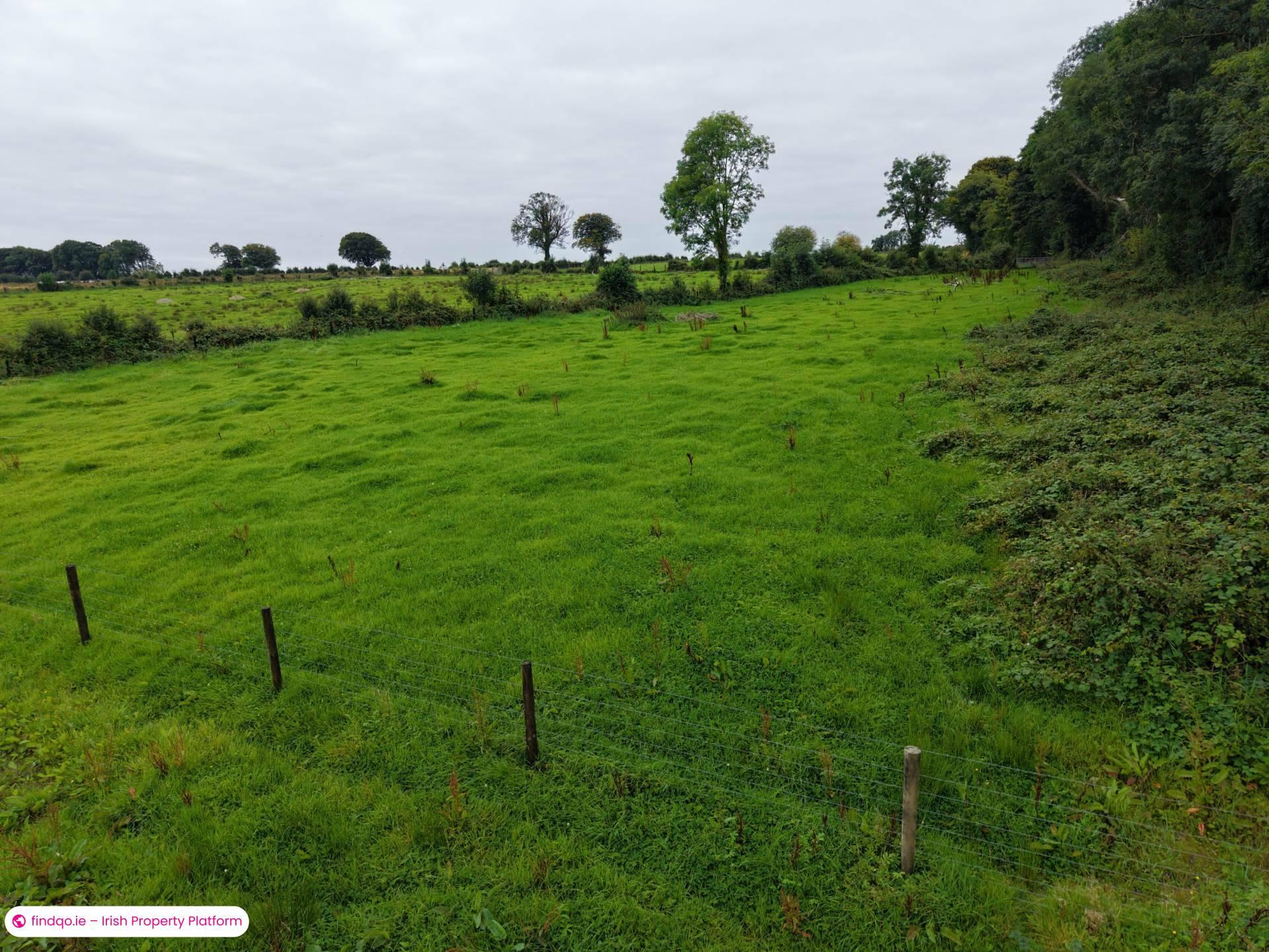 Agricultural Land for Sale in Ballinasloe, Galway