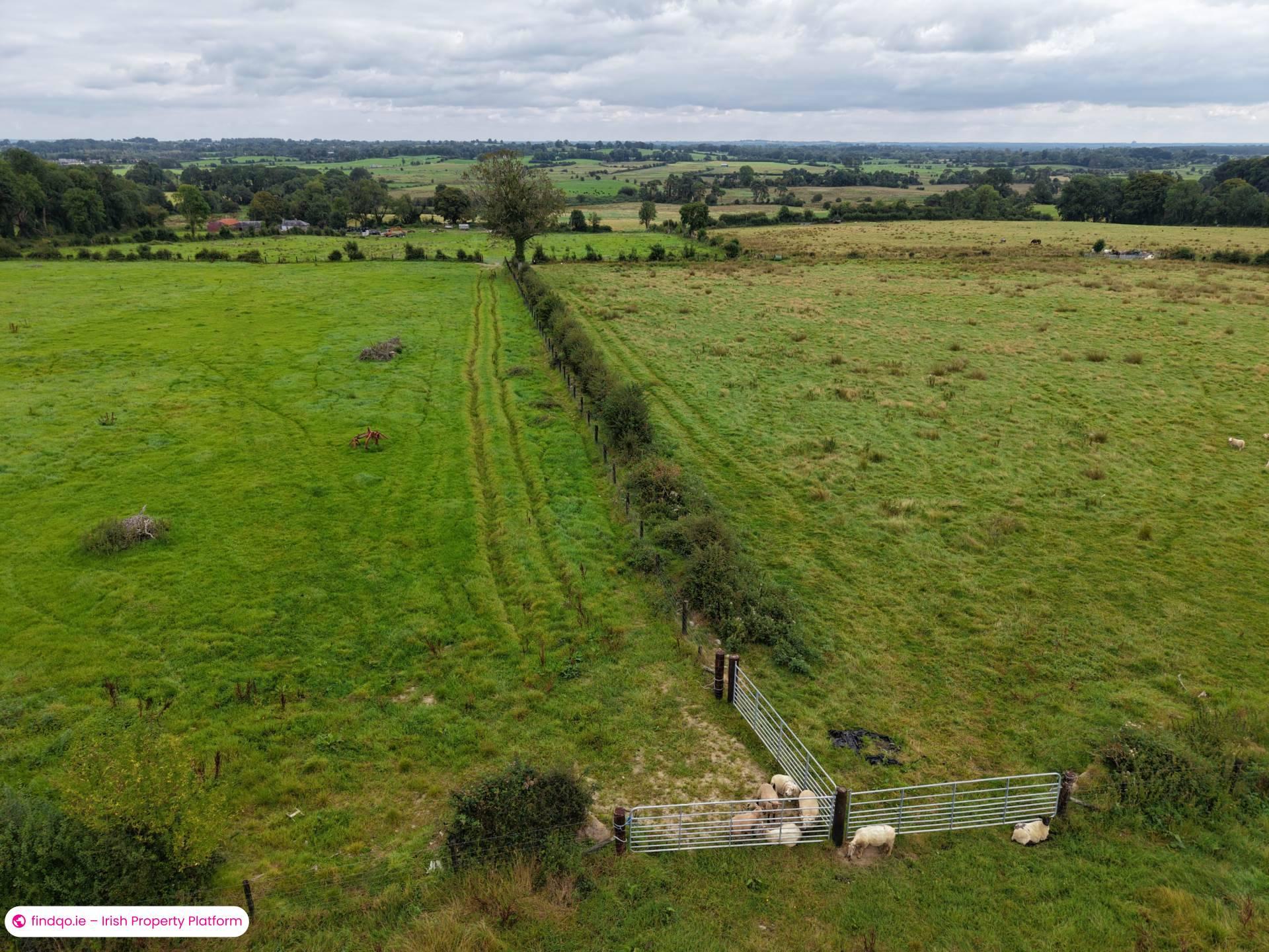 Agricultural Land for Sale in Ballinasloe, Galway