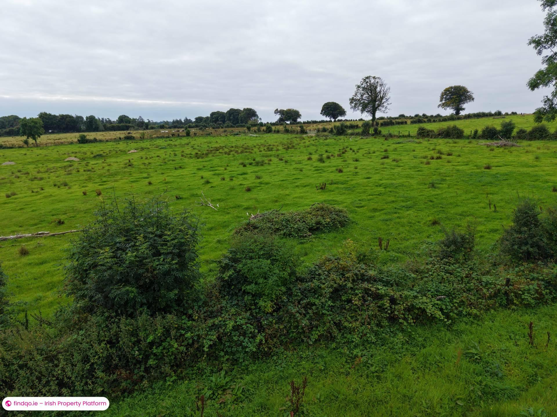Agricultural Land for Sale in Ballinasloe, Galway