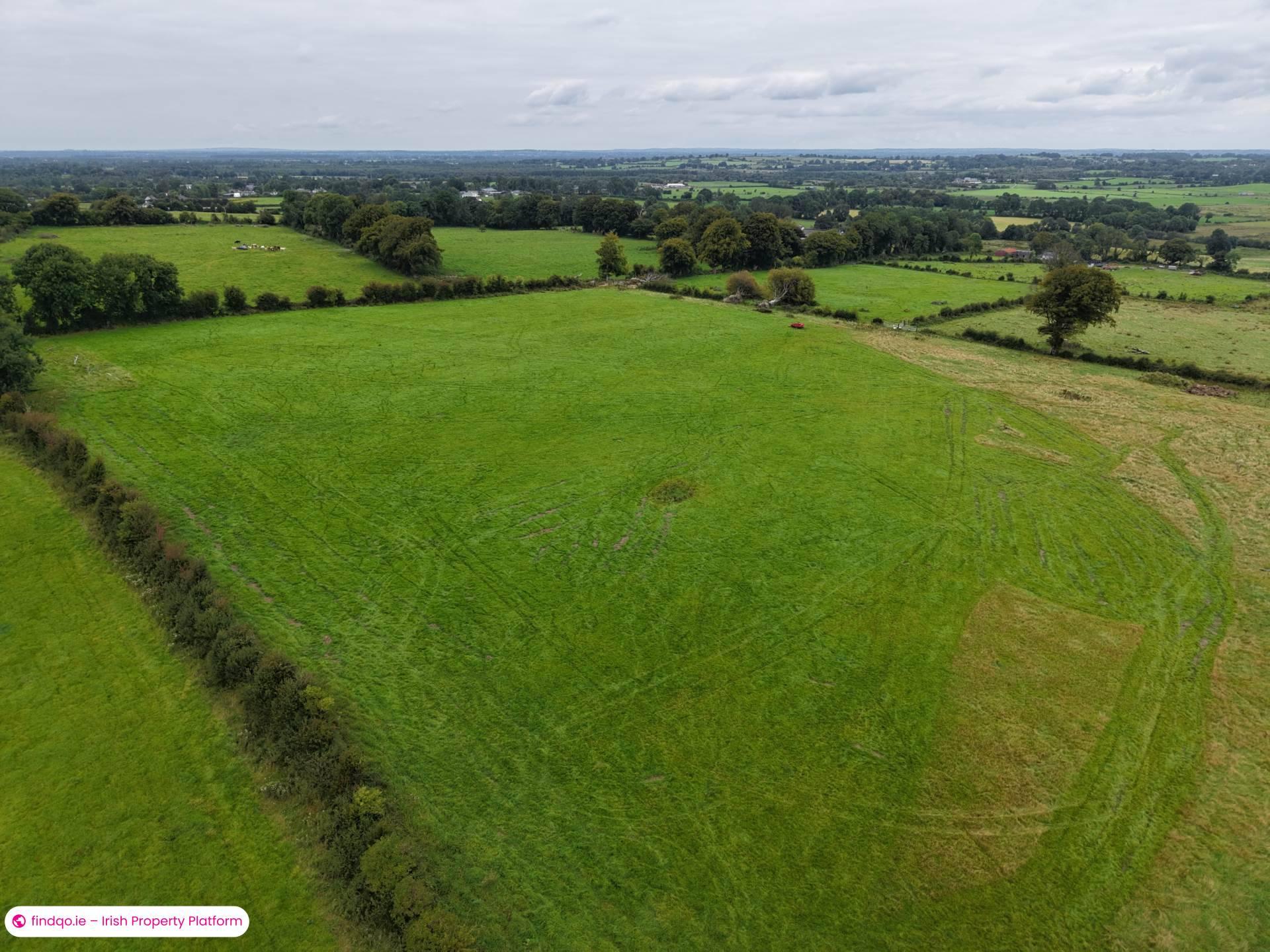 Agricultural Land for Sale in Ballinasloe, Galway