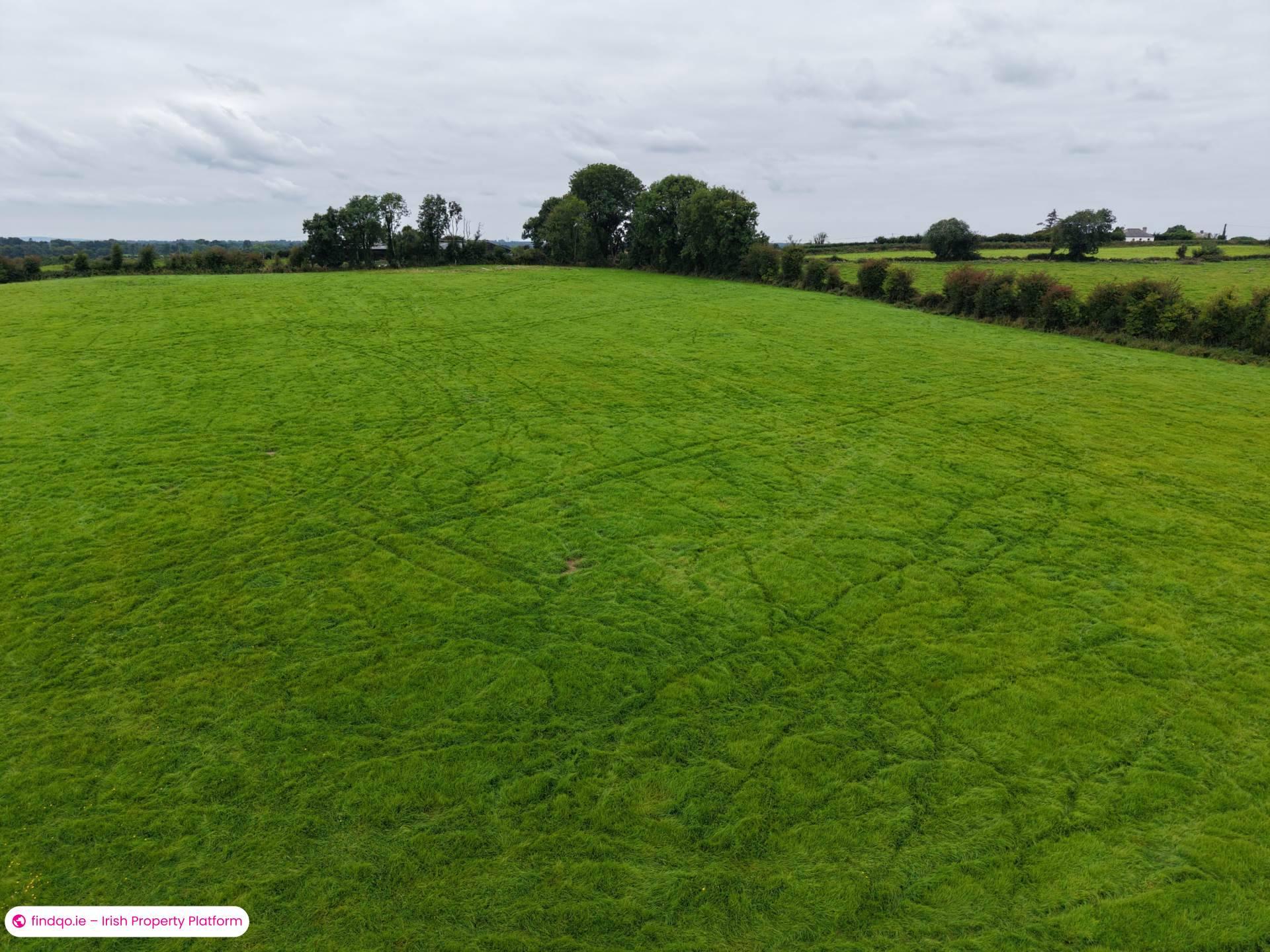 Agricultural Land for Sale in Ballinasloe, Galway