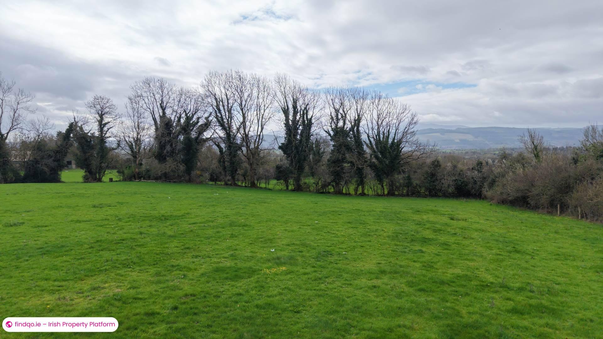 Agricultural Land for Sale in Clonmel, Tipperary
