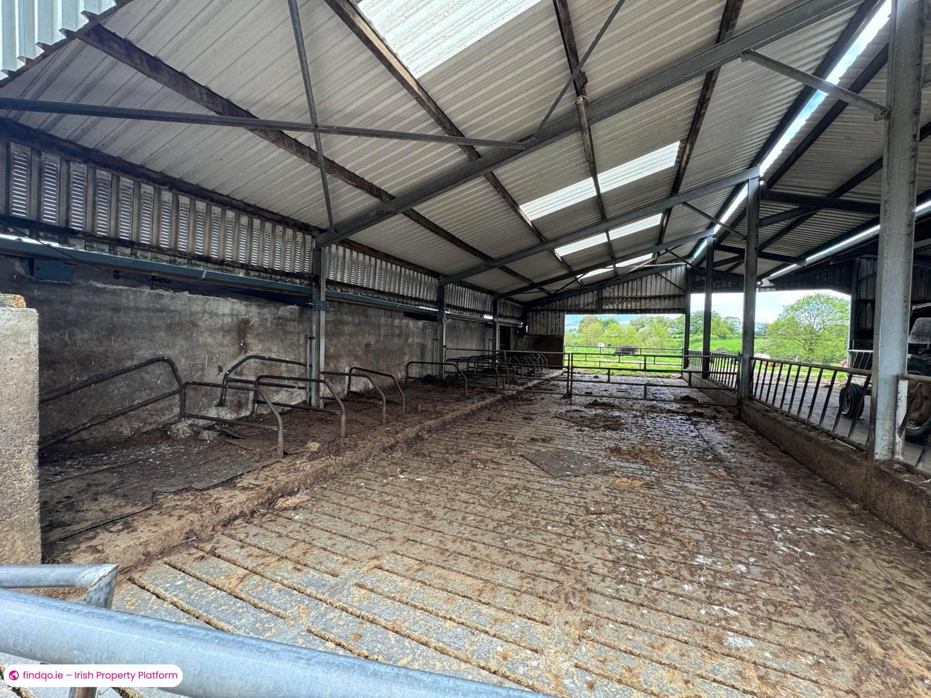 Agricultural Land for Sale in Ballyporeen, Tipperary