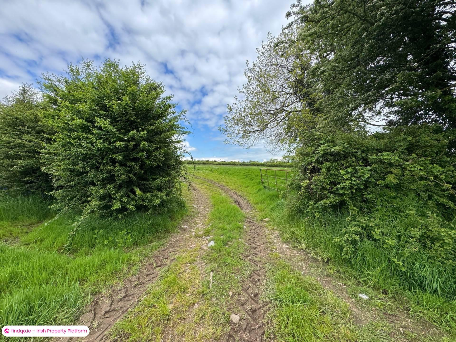 Development Land for Sale in Ballyporeen, Tipperary