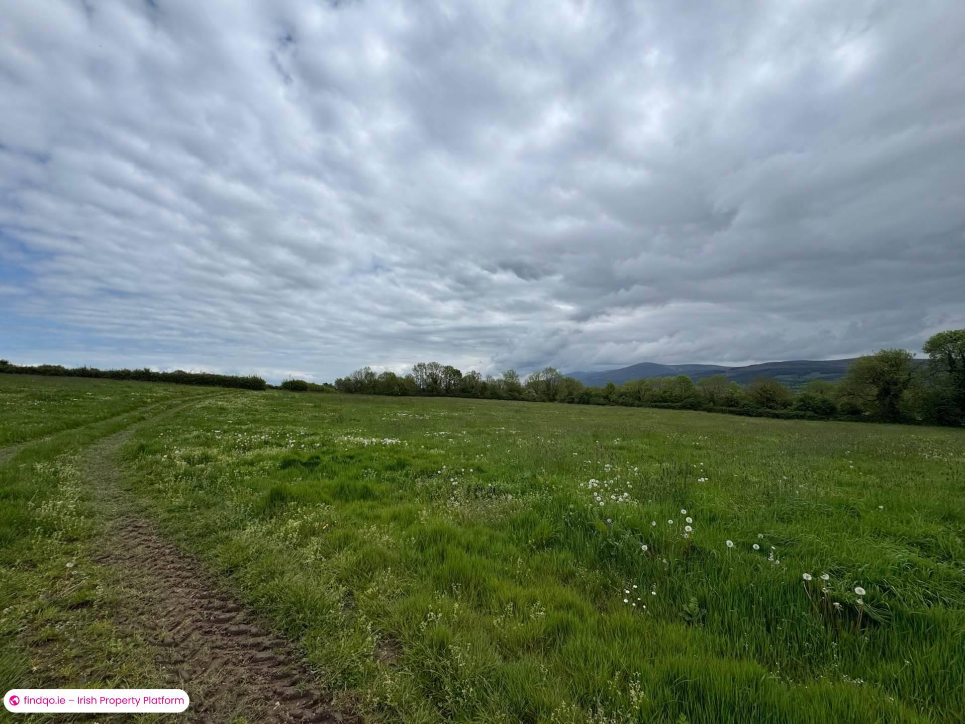 Development Land for Sale in Ballyporeen, Tipperary