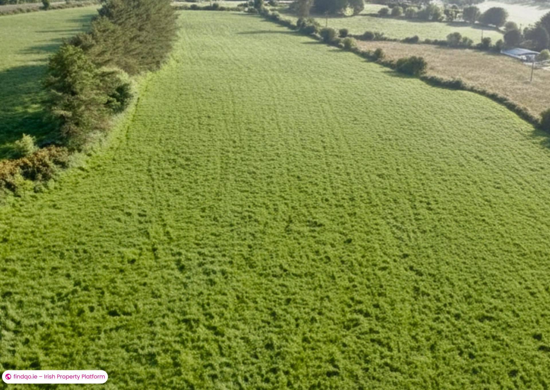 Agricultural Land for Sale in Killarney, Kerry