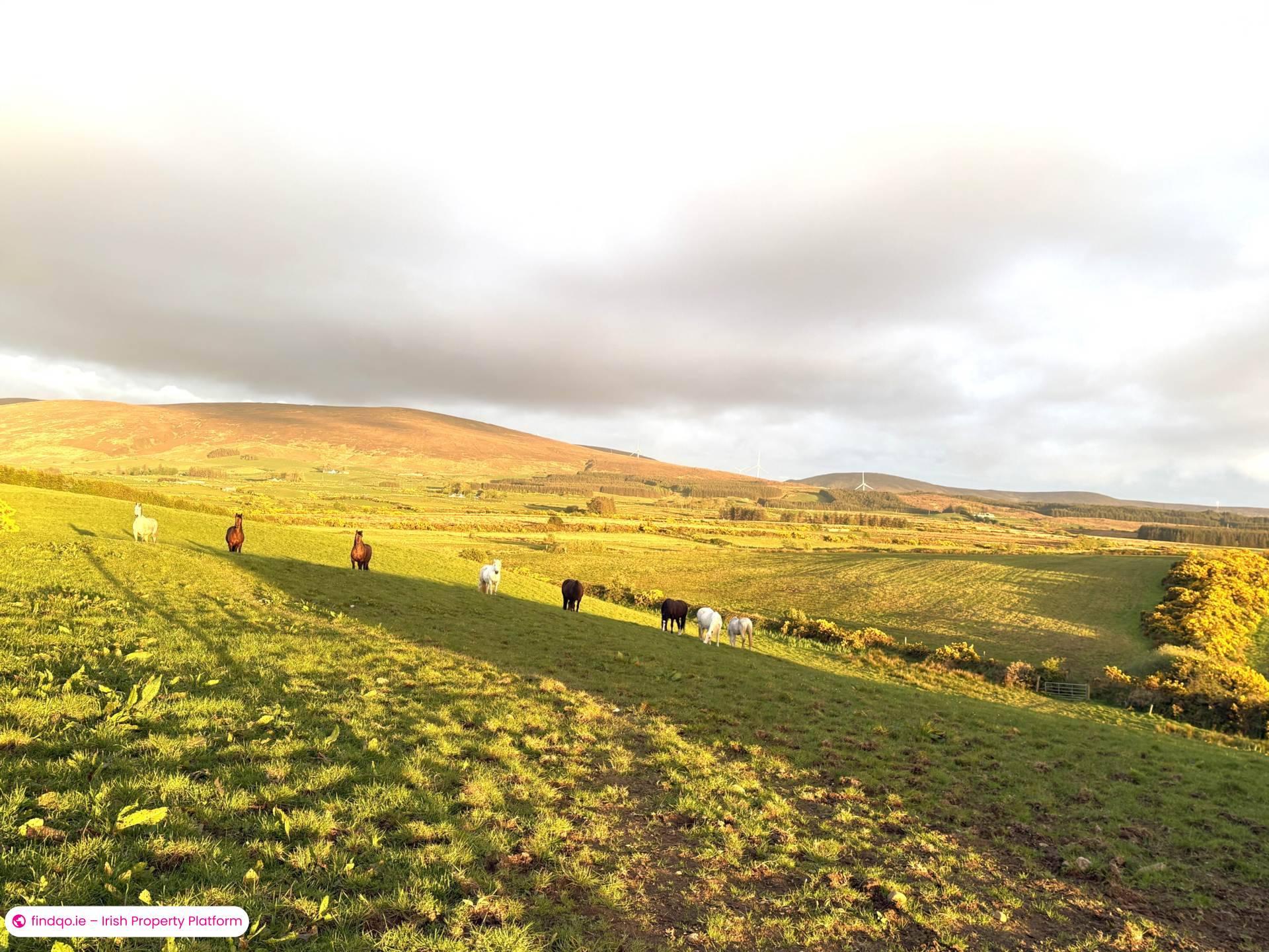 Development Land for Sale in Templeboy, Sligo