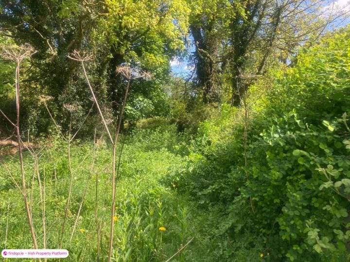 Detached house for Sale in Ballinlough, Roscommon