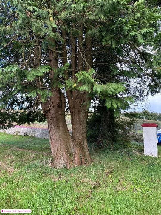 Detached house for Sale in Leggah, Longford