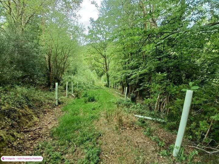 Detached house for Sale in Beaufort, Kerry