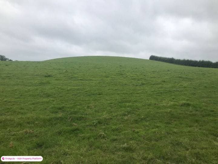 Agricultural Land for Sale in Monaghan, Monaghan